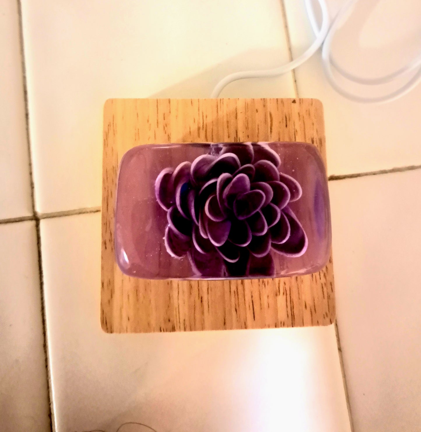 "Everbloom" Encased Shell Flower Relic