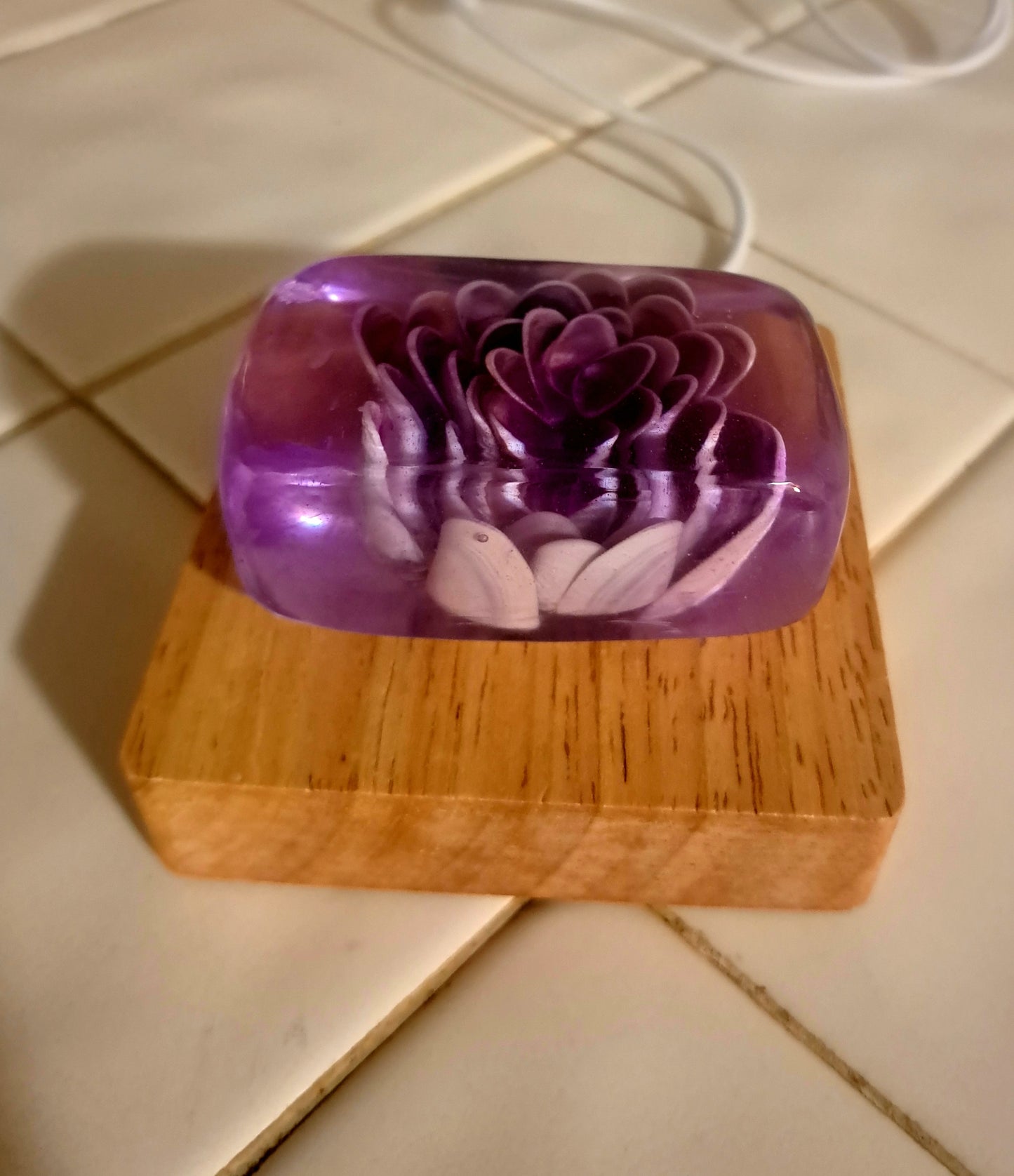 "Everbloom" Encased Shell Flower Relic