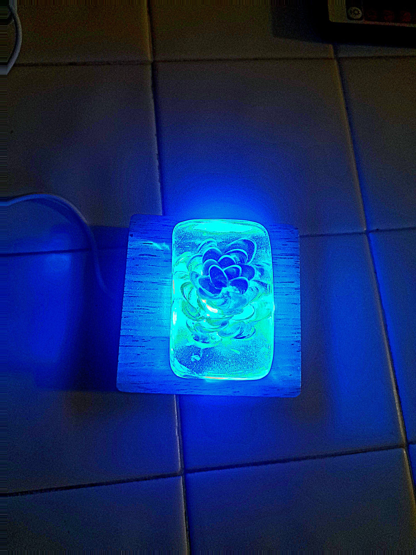 "Everbloom" Encased Shell Flower Relic